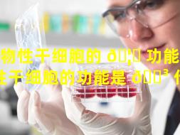 植物性干细胞的 🦊 功能（植物性干细胞的功能是 🌳 什么）